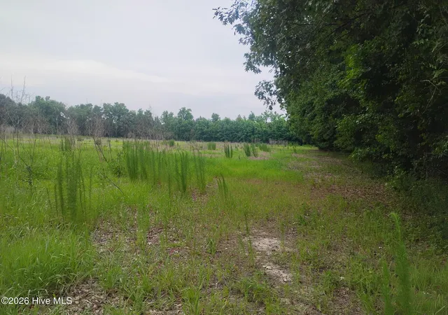 Photo 3 of Land for sale at 325 Brothers Ln, Jacksonville, NC 28546 | MLS# 100593862 | Listing updated on 2026-08-26