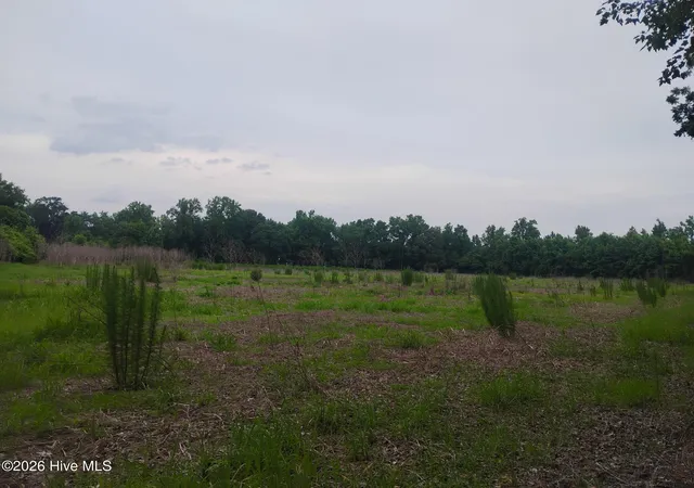 Photo 4 of Land for sale at 325 Brothers Ln, Jacksonville, NC 28546 | MLS# 100593862 | Listing updated on 2026-08-26