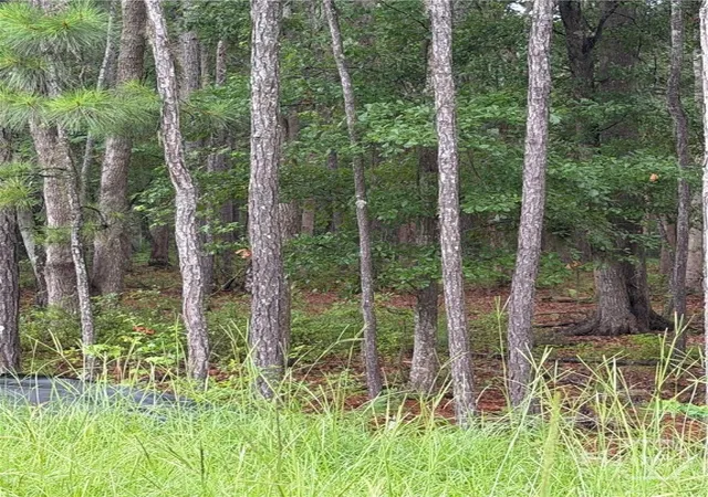 Photo 2 of Land for sale at 157 Wood Hvn Ln, Pooler, GA 31322 | MLS# SA358802 | Listing updated on 2026-08-19
