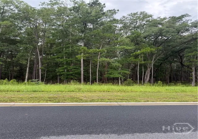 Photo 3 of Land for sale at 157 Wood Hvn Ln, Pooler, GA 31322 | MLS# SA358802 | Listing updated on 2026-08-19