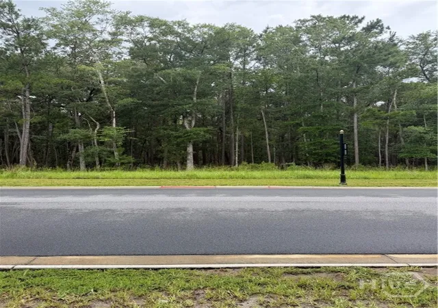 Photo 3 of Land for sale at 157 Wood Hvn Ln, Pooler, GA 31322 | MLS# SA358802 | Listing updated on 2026-08-19