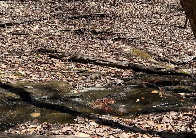 Photo 2 of Land for sale at Lots High View Rd Wolf Mountain Ests, Murphy, NC 28906 | MLS# 98544521 | Listing updated on 2026-08-19