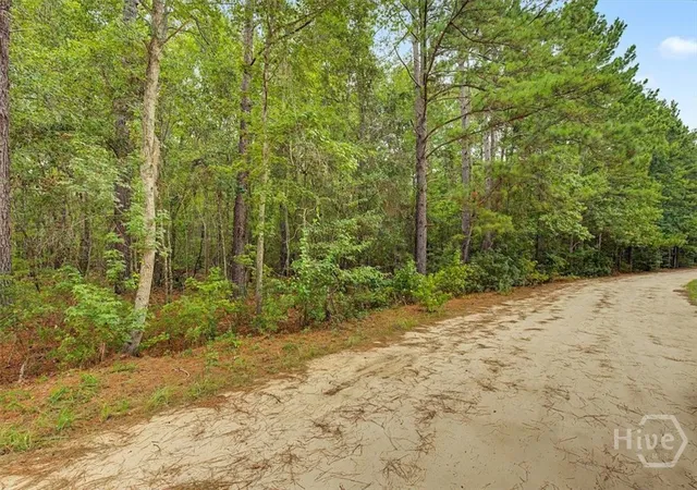 1st image of 00 Lawrence Church, Pembroke, GA 31321 | MLS# SA361633