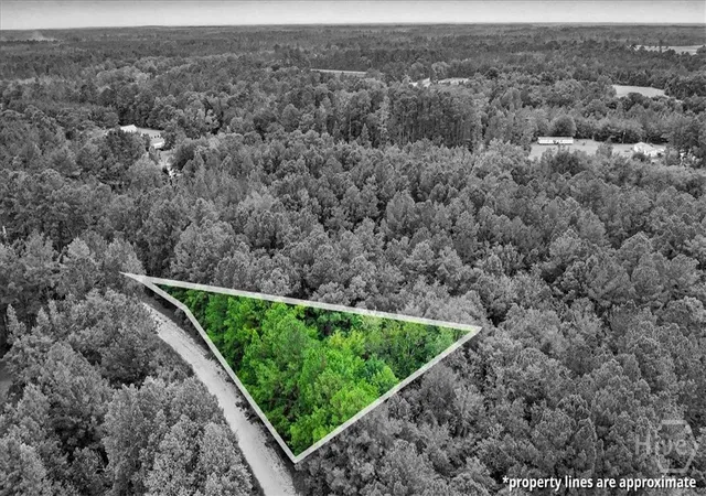 9th image of 00 Lawrence Church, Pembroke, GA 31321 | MLS# SA361633