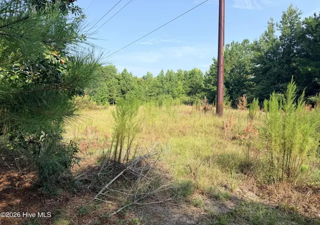 Photo 1 of Land for sale at 141 Autumn Chase Ln, Beech Island, SC 29842 | MLS# 100598358 | Listing updated on 2026-08-23