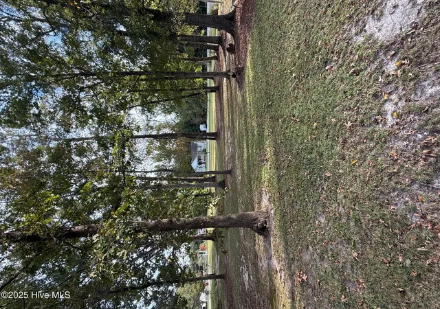 2nd image of Lot #1 Prison Camp Rd, Whiteville, NC 28472 | MLS# 100597321