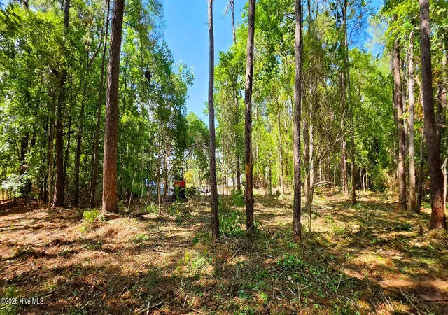 Photo 3 of Land for sale at L 2 S N Palmer Dr, Shallotte, NC 28470 | MLS# 100569763 | Listing updated on 2026-08-19