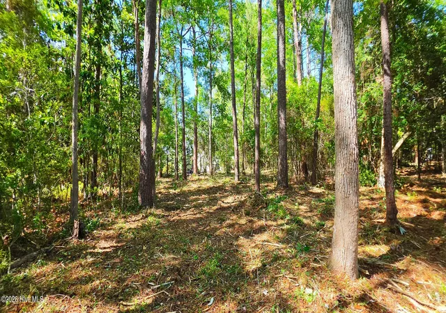 Photo 3 of Land for sale at L-2 S-n Palmer Dr, Shallotte, NC 28470 | MLS# 100569763 | Listing updated on 2026-08-19