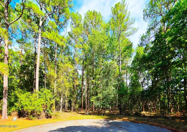 Photo 4 of Land for sale at L-2 S-n Palmer Dr, Shallotte, NC 28470 | MLS# 100569763 | Listing updated on 2026-08-19