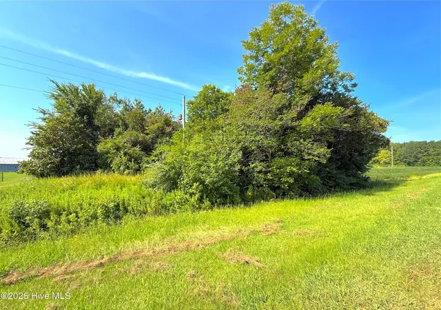 Photo 2 of Land for sale at 0 Us 264, Belhaven, NC 27810 | MLS# 100595825 | Listing updated on 2026-08-21