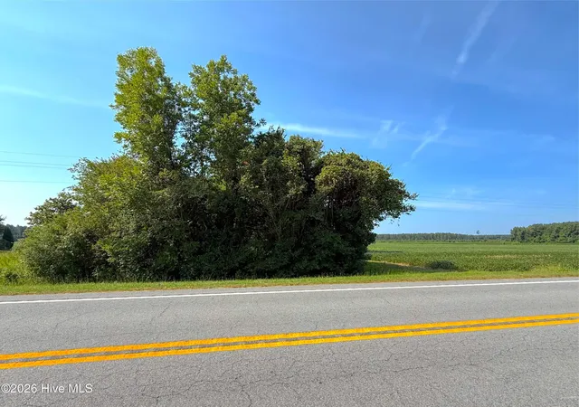Photo 3 of Land for sale at 0 Us 264, Belhaven, NC 27810 | MLS# 100595825 | Listing updated on 2026-08-21