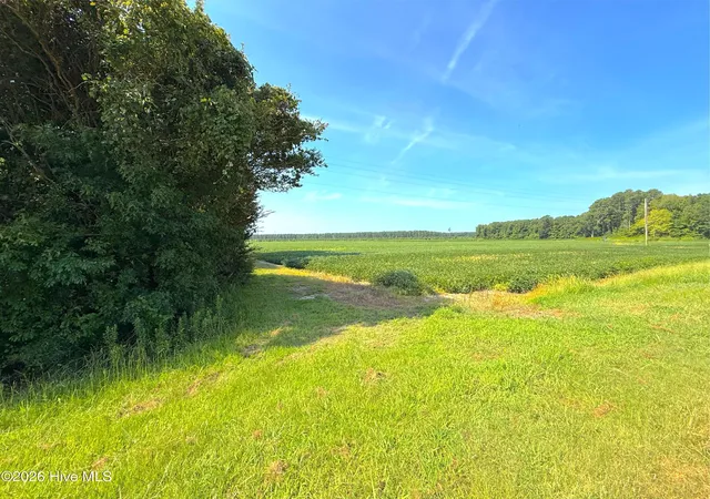 Photo 3 of Land for sale at 0 US 264, Belhaven, NC 27810 | MLS# 100595825 | Listing updated on 2026-08-21