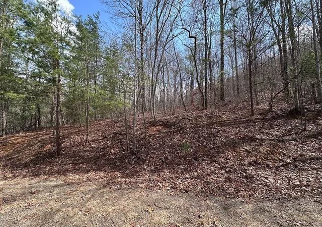 Photo 1 of Land for sale at Tbd Pack Mountain Rd, Murphy, NC 28906 | MLS# 100589783 | Listing updated on 2026-08-19