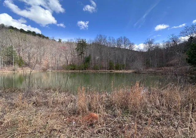 Photo 3 of Land for sale at Tbd Pack Mountain Rd, Murphy, NC 28906 | MLS# 100589783 | Listing updated on 2026-08-19