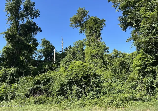 Photo 1 of Land for sale at 802 E Rockingham Rd, Maxton, NC 28364 | MLS# 100589130 | Listing updated on 2026-08-19