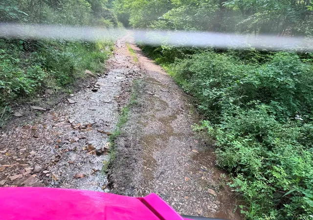 Photo 2 of Land for sale at 88 Acres Bolden Branch, Andrews, NC 28901 | MLS# 98524852 | Listing updated on 2026-08-26