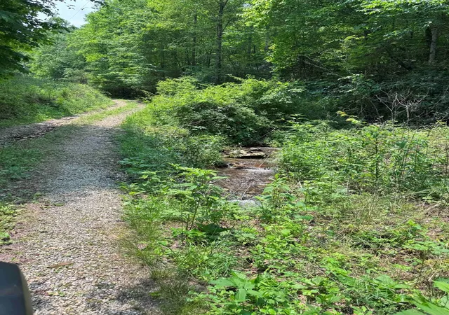 Photo 3 of Land for sale at 88 Acres Bolden Branch, Andrews, NC 28901 | MLS# 98524852 | Listing updated on 2026-08-26