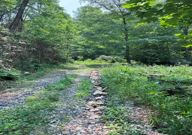 Photo 3 of Land for sale at 88 Acres Bolden Branch, Andrews, NC 28901 | MLS# 98524852 | Listing updated on 2026-08-26