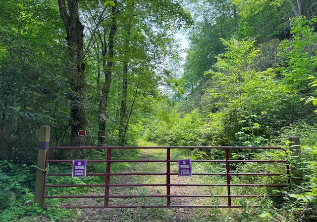Photo 4 of Land for sale at 88 Acres Bolden Branch, Andrews, NC 28901 | MLS# 98524852 | Listing updated on 2026-08-26