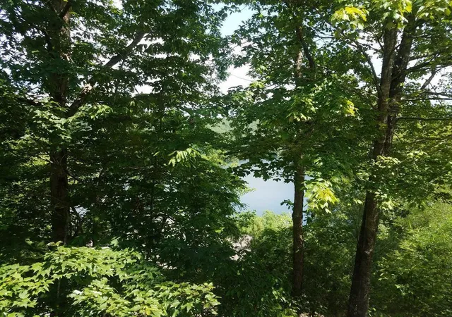 Photo 1 of Land for sale at Lot 43 Kestrel Ridge Cir, Murphy, NC 28906 | MLS# 98543700 | Listing updated on 2026-08-19