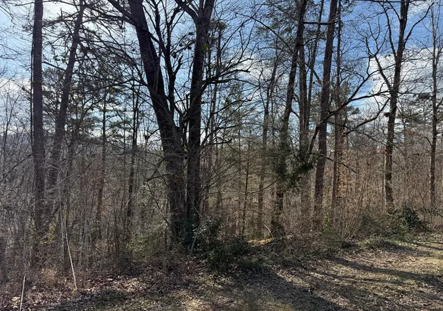 Photo 2 of Land for sale at 0 Sunrise St, Murphy, NC 28906 | MLS# 98525343 | Listing updated on 2026-08-19