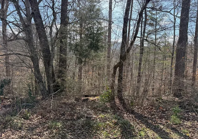 Photo 3 of Land for sale at 0 Sunrise St, Murphy, NC 28906 | MLS# 98525343 | Listing updated on 2026-08-19