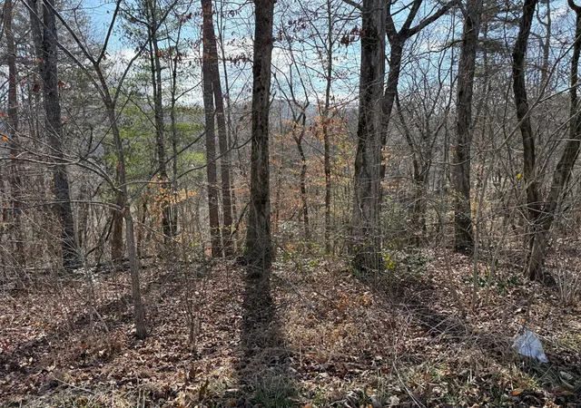 Photo 3 of Land for sale at 0 Sunrise St, Murphy, NC 28906 | MLS# 98525343 | Listing updated on 2026-08-19