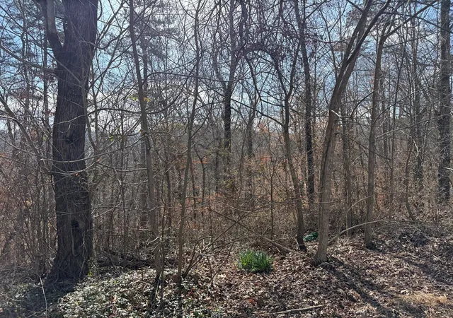 Photo 4 of Land for sale at 0 Sunrise St, Murphy, NC 28906 | MLS# 98525343 | Listing updated on 2026-08-19