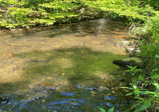 Photo 4 of Land for sale at 00 Deer Run, Robbinsville, NC 28771 | MLS# 98524935 | Listing updated on 2026-08-19