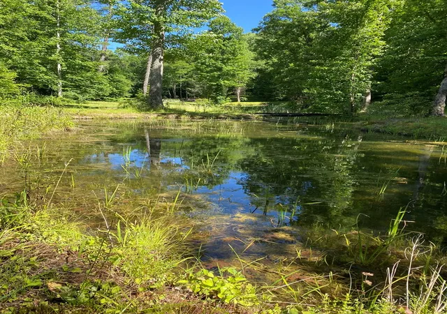 Photo 5 of Land for sale at 00 Deer Run, Robbinsville, NC 28771 | MLS# 98524935 | Listing updated on 2026-08-19
