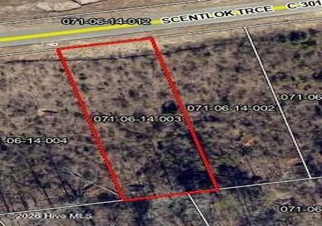 Photo 1 of Land for sale at Lot 113 Scentlok Tr, Warrenville, SC 29851 | MLS# 100595642 | Listing updated on 2026-08-19