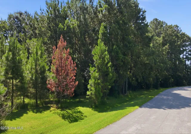 Photo 1 of Land for sale at 9325 Doris Dr, Oriental, NC 28571 | MLS# 100596075 | Listing updated on 2026-08-19
