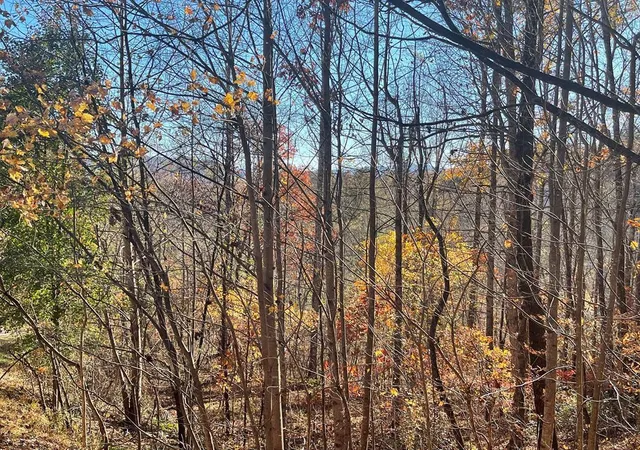 Photo 1 of Land for sale at Lot 41c Ash Branch Cir, Hayesville, NC 28904 | MLS# 98524976 | Listing updated on 2026-08-19