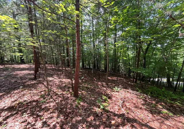 Photo 1 of Land for sale at 5 Birds View Ln, Murphy, NC 28906 | MLS# 98544261 | Listing updated on 2026-08-19