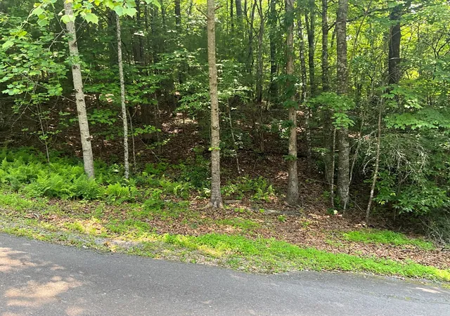Photo 3 of Land for sale at 5 Birds View Ln, Murphy, NC 28906 | MLS# 98544261 | Listing updated on 2026-08-19