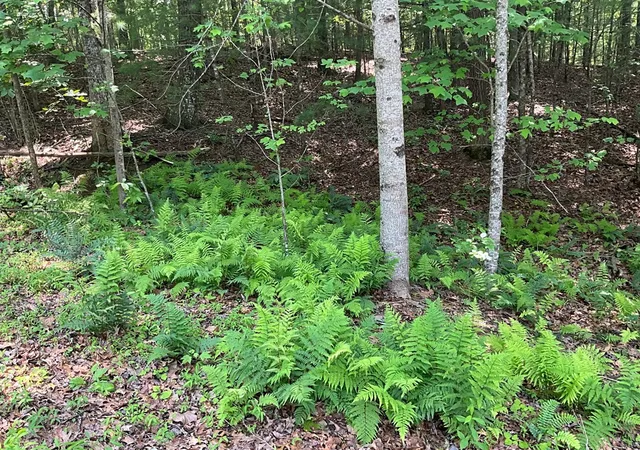 Photo 4 of Land for sale at 5 Birds View Ln, Murphy, NC 28906 | MLS# 98544261 | Listing updated on 2026-08-19