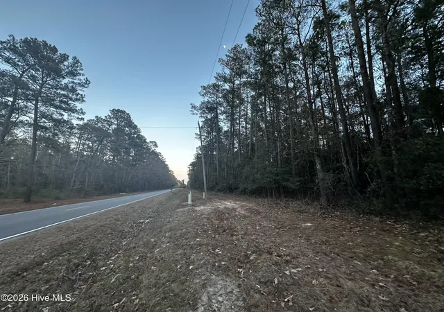 Photo 1 of Land for sale at Canetuck Road, Currie, NC 28435 | MLS# 100592505 | Listing updated on 2026-08-24