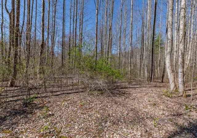 Photo 5 of Land for sale at Lots 12+ Tusquittee Xing, Hayesville, NC 28904 | MLS# 98525066 | Listing updated on 2026-08-19