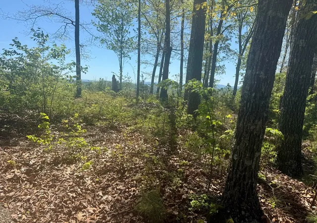 Photo 3 of Land for sale at 51 Wayah Ridge, Murphy, NC 28906 | MLS# 98544262 | Listing updated on 2026-08-19