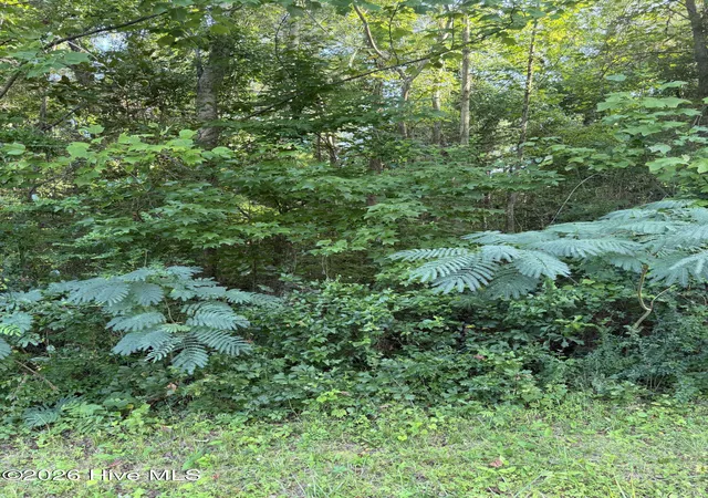 Photo 1 of Land for sale at 1197 Green Springs Rd, New Bern, NC 28560 | MLS# 100593031 | Listing updated on 2026-08-19