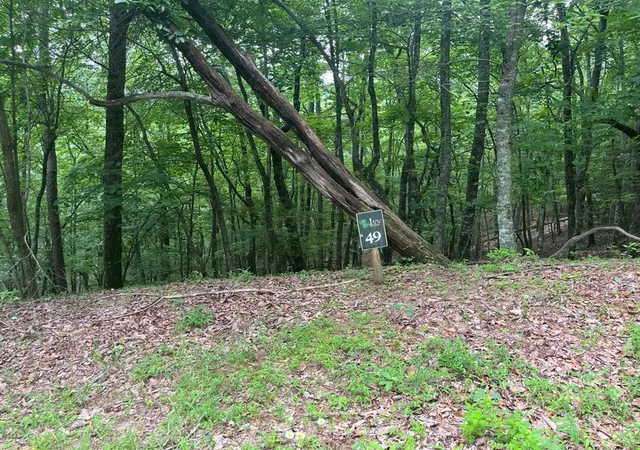 Photo 2 of Land for sale at Lot 49 Burger Rd, Murphy, NC 28906 | MLS# 98523787 | Listing updated on 2026-08-19