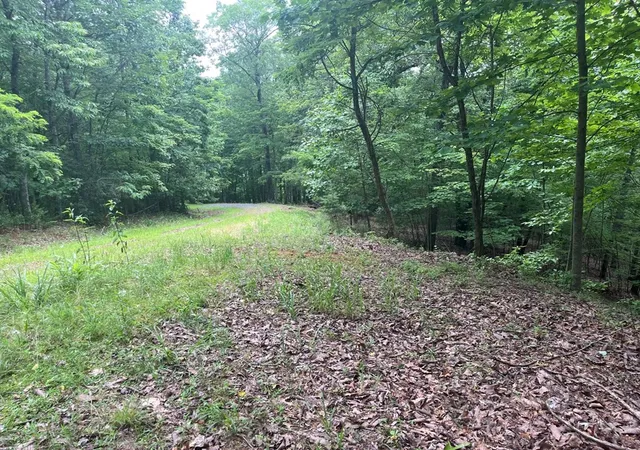 Photo 3 of Land for sale at Lot 49 Burger Rd, Murphy, NC 28906 | MLS# 98523787 | Listing updated on 2026-08-19