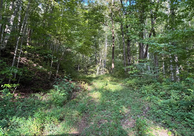 Photo 30 of Land for sale at 1111 Canopy Ln, Robbinsville, NC 28771 | MLS# 98543859 | Listing updated on 2026-08-19