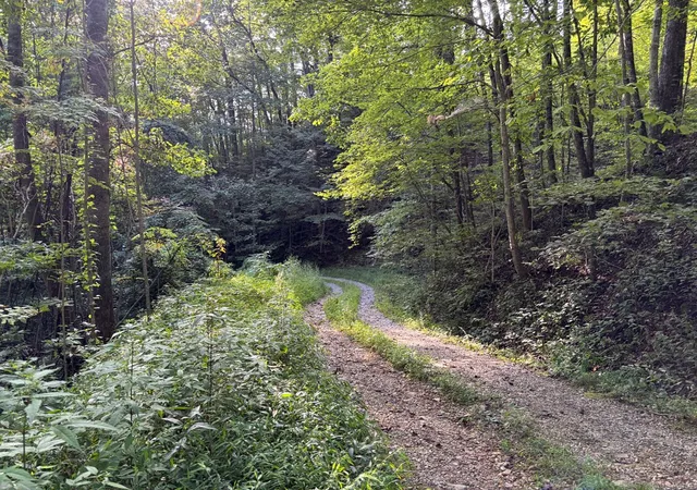 Photo 5 of Land for sale at 1111 Canopy Ln, Robbinsville, NC 28771 | MLS# 98543859 | Listing updated on 2026-08-19