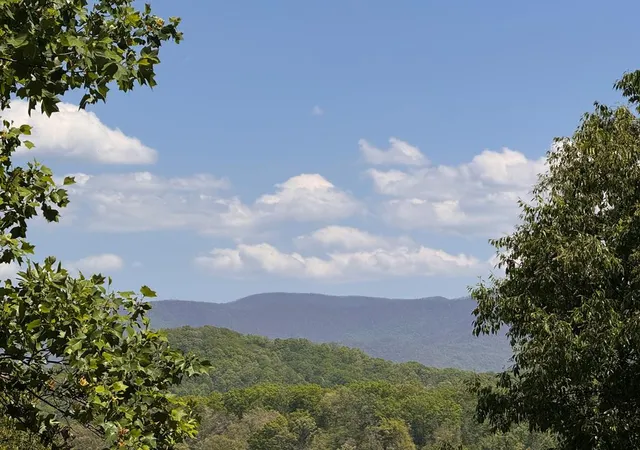 Photo 4 of Single family home for sale at 197 Eagles View Rd, Hayesville, NC 28904 | MLS# 98543478 | Listing updated on 2026-08-19