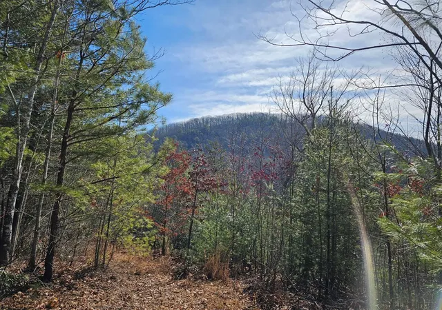 Photo 2 of Land for sale at 51 Kudzu Crk Trl, Murphy, NC 28906 | MLS# 98544536 | Listing updated on 2026-08-19