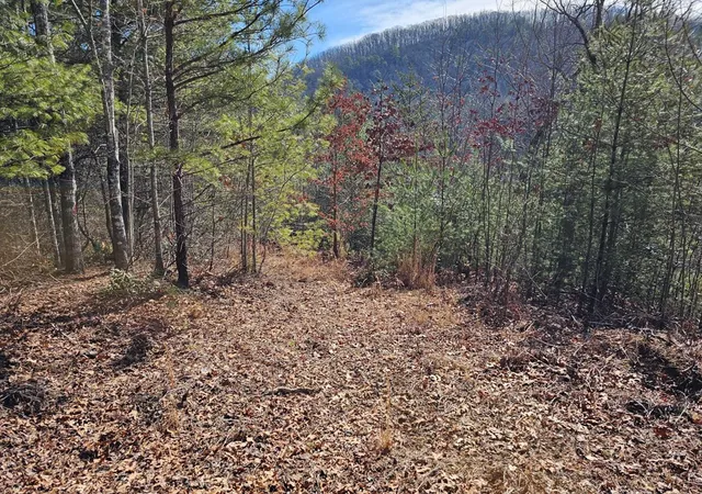 Photo 3 of Land for sale at 51 Kudzu Crk Trl, Murphy, NC 28906 | MLS# 98544536 | Listing updated on 2026-08-19