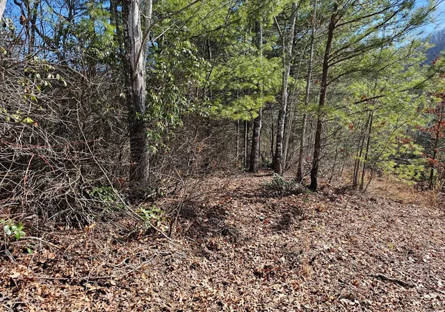 Photo 3 of Land for sale at 51 Kudzu Crk Trl, Murphy, NC 28906 | MLS# 98544536 | Listing updated on 2026-08-19
