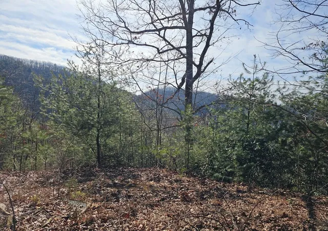 Photo 4 of Land for sale at 51 Kudzu Crk Trl, Murphy, NC 28906 | MLS# 98544536 | Listing updated on 2026-08-19