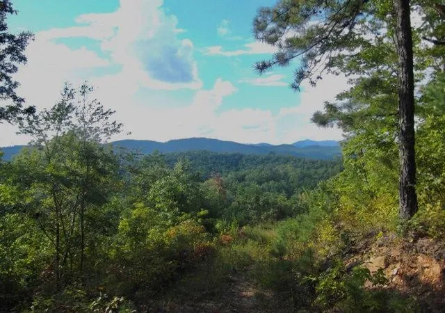 Photo 2 of Land for sale at 257 Scottie Mountain Cir, Murphy, NC 28906 | MLS# 98524277 | Listing updated on 2026-08-19
